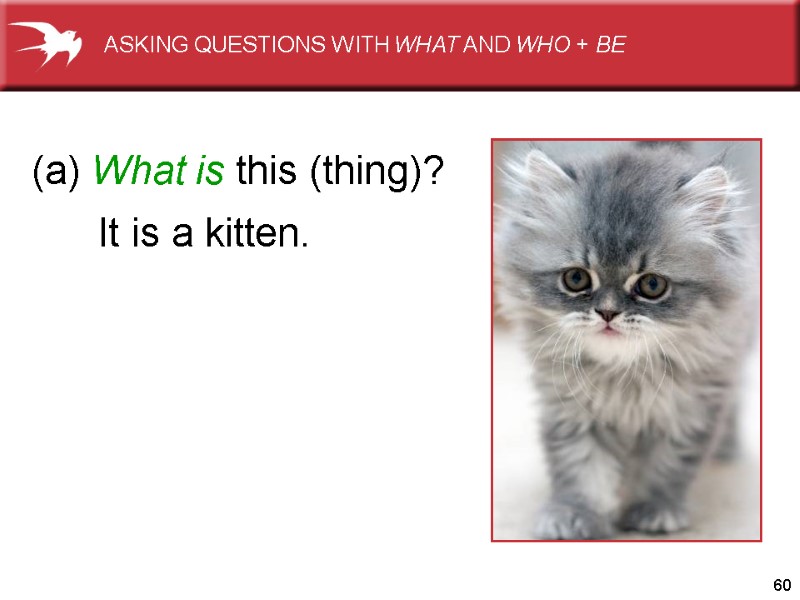 60 (a) What is this (thing)? It is a kitten.  ASKING QUESTIONS WITH